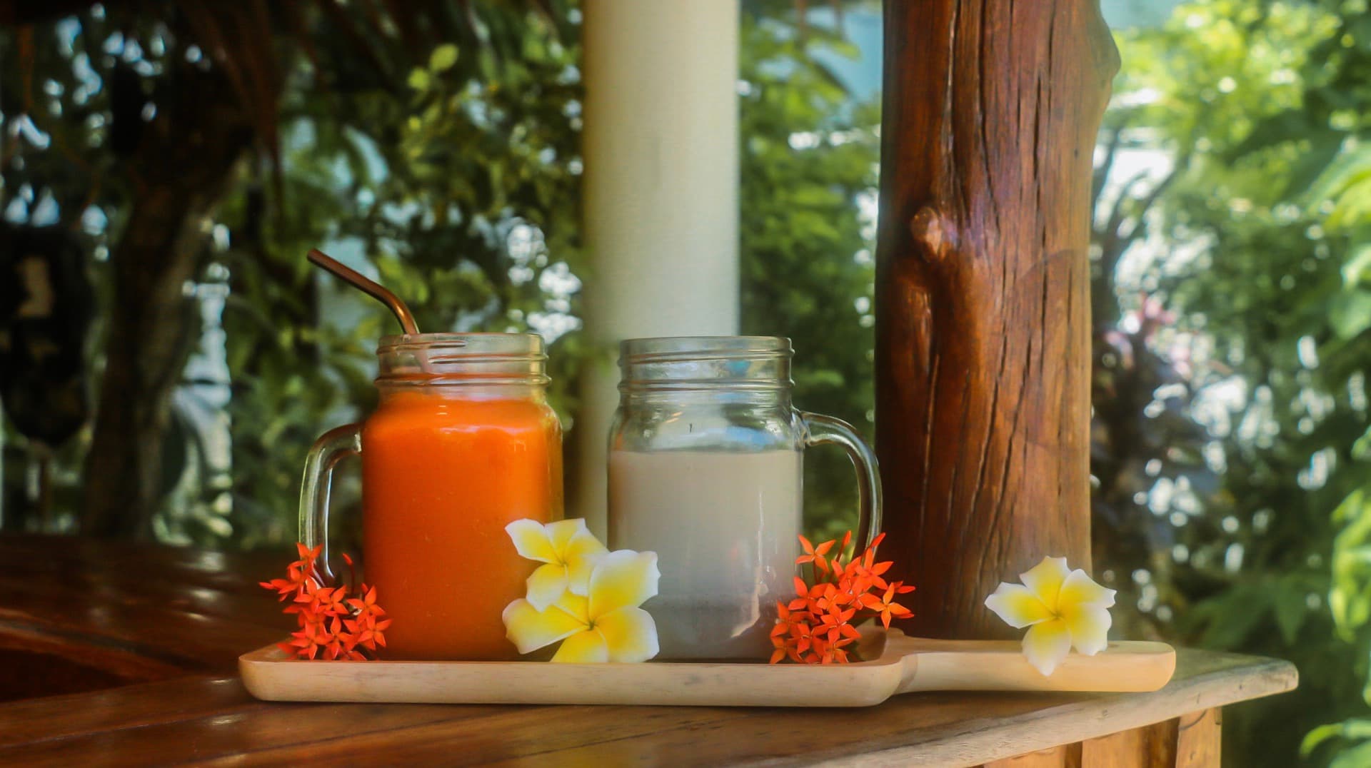 Ananda Yoga and Detox Center logo