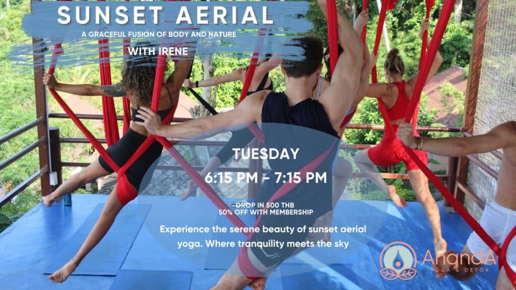 Weekly Workshops - Tuesday Sunset Aerial Yoga