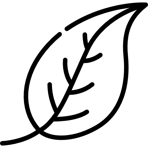 Prenatal Yoga Course