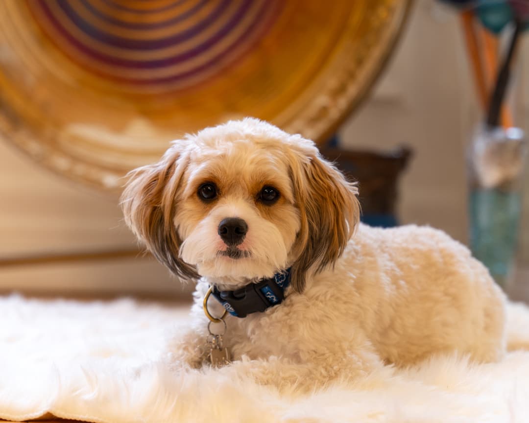 Sunday Sound Reset: Relax & Reconnect in the Hudson Valley