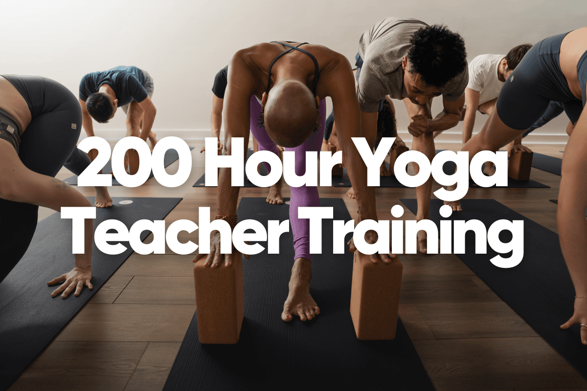 Fyra Yoga 200 Hour Teacher Training Fall 2026