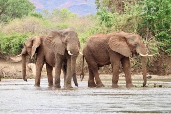 Zambia Yoga Holiday September 2026