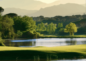 Executive Wellness Clinic Retreat