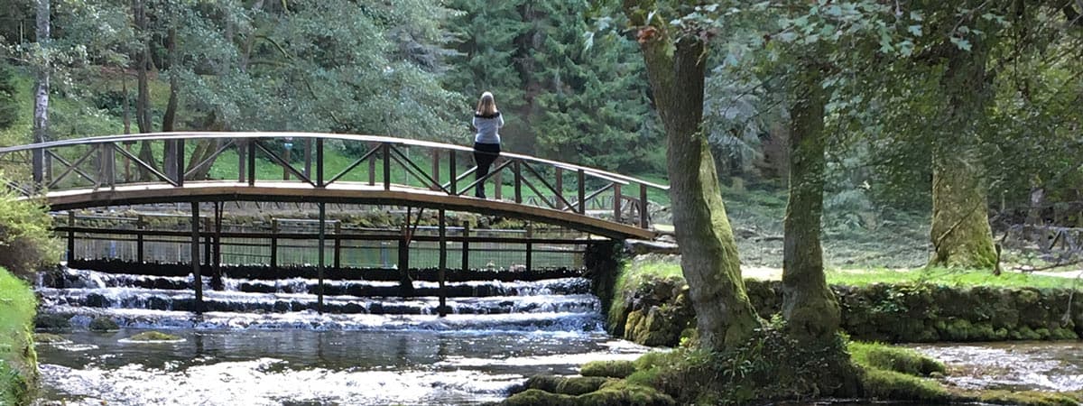 Grief & Loss Online Workshop