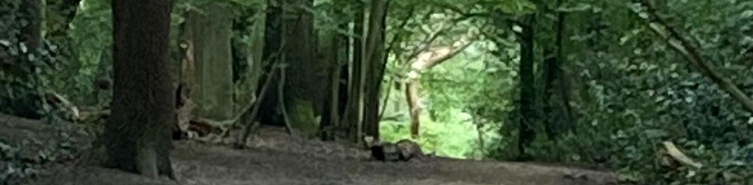 A Conversation about Limiting Beliefs