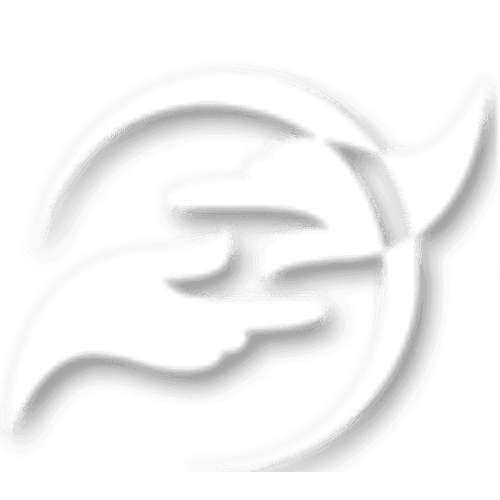 Amazing Touch Rehab and Wellness Center logo