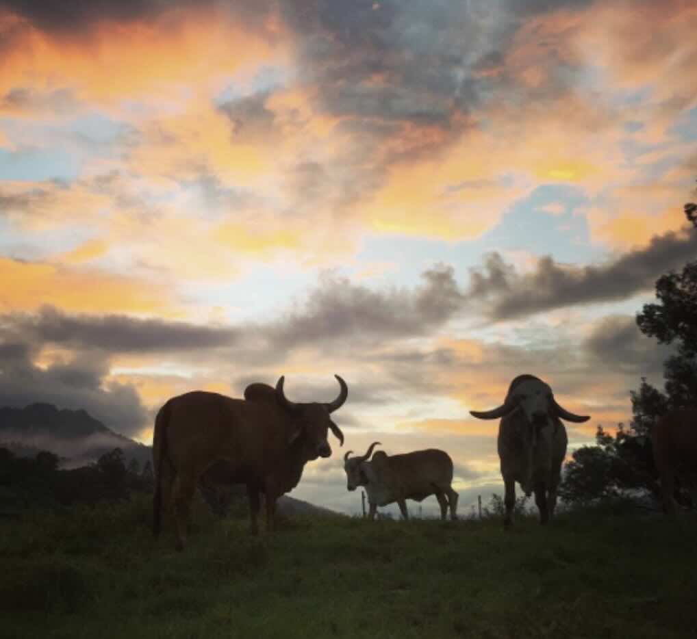 Transforming Grief Retreat