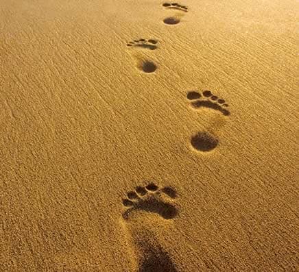 Level 3 Meditation Course - Calm and Concentration