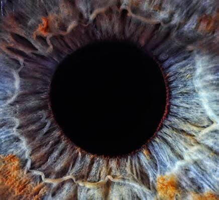 Level 4 Advanced Meditation Course