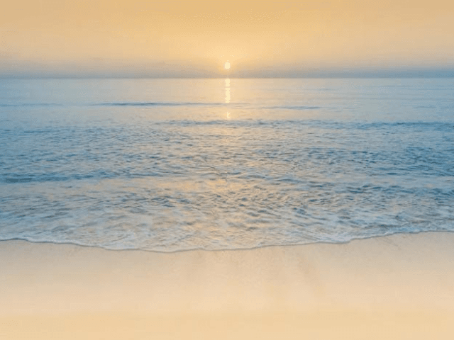 Workshop: Building Everyday Emotional Resilience