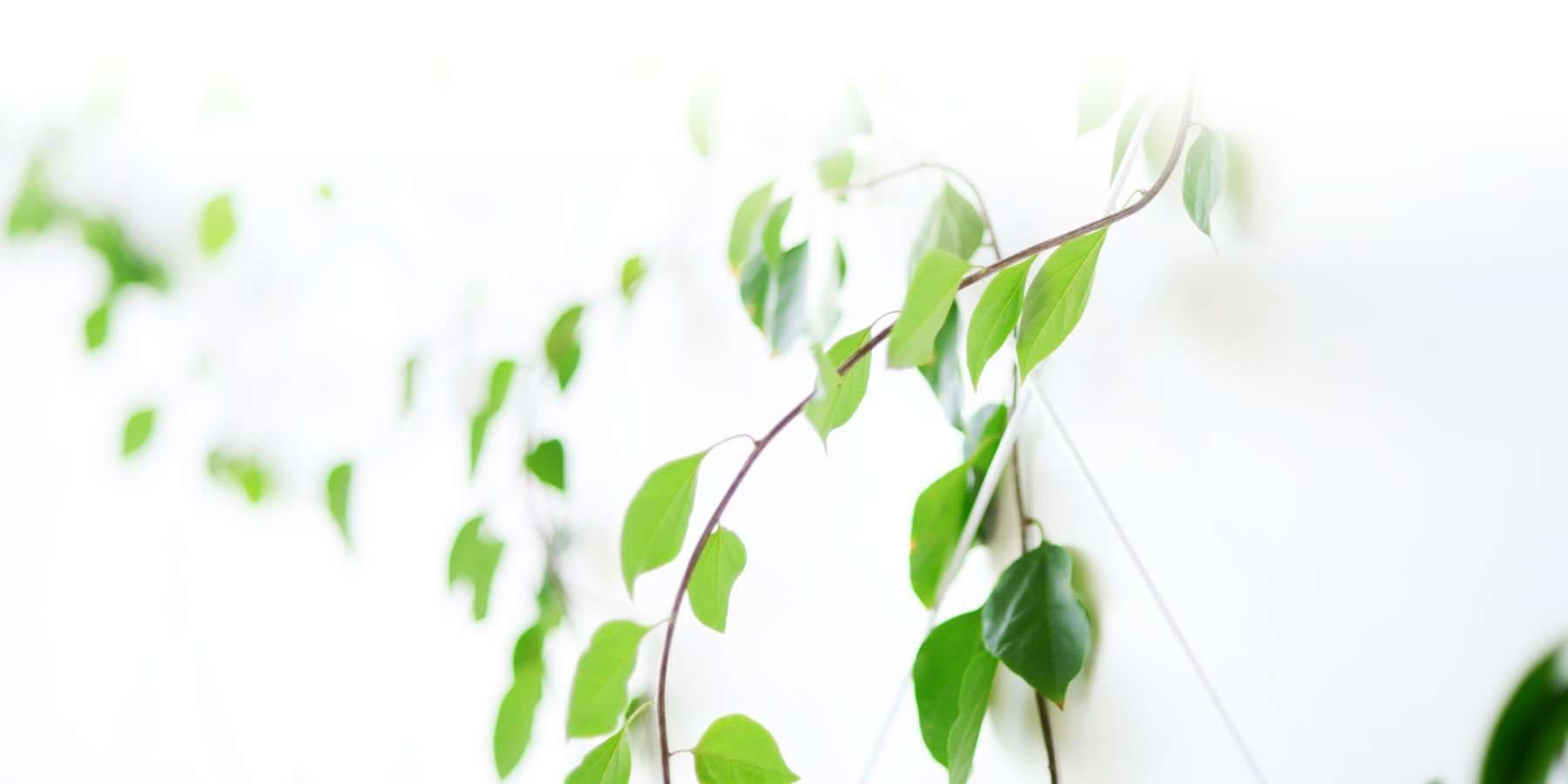 5 Day Meditation Challenge