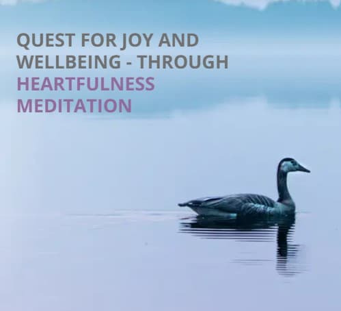 Quest for Joy and Wellbeing