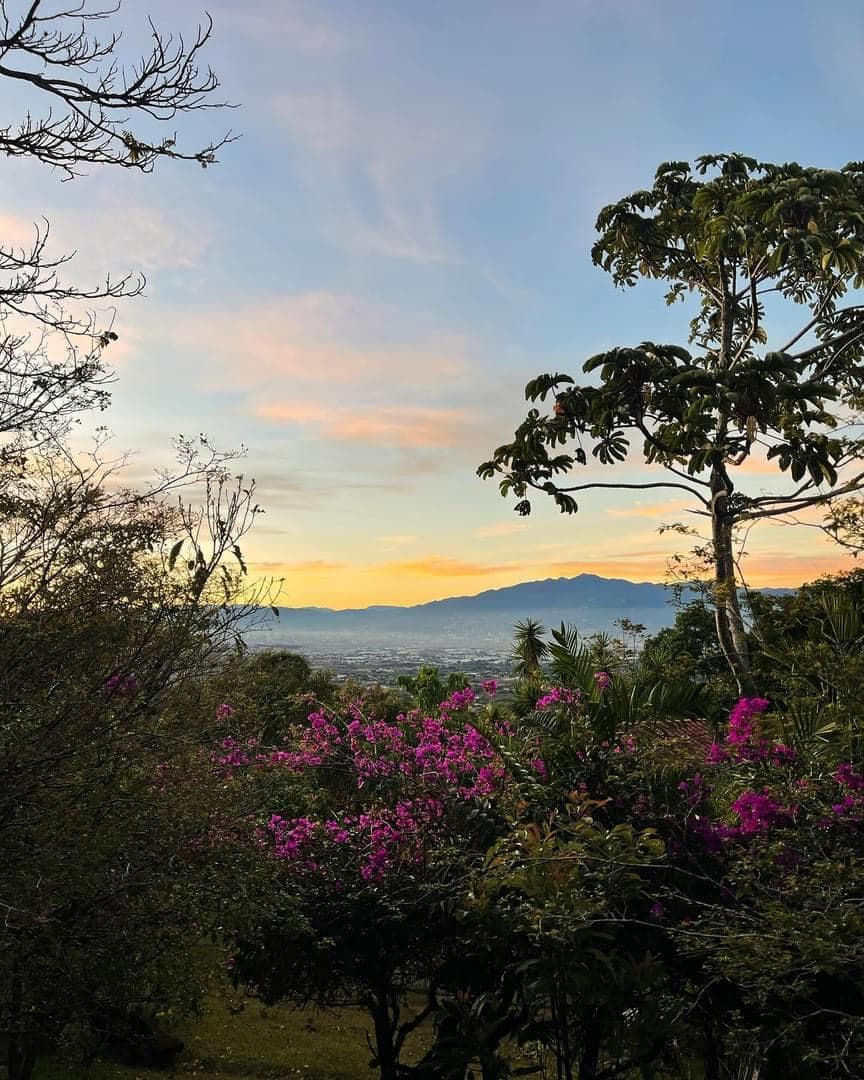 Yoga and Wellness Retreat