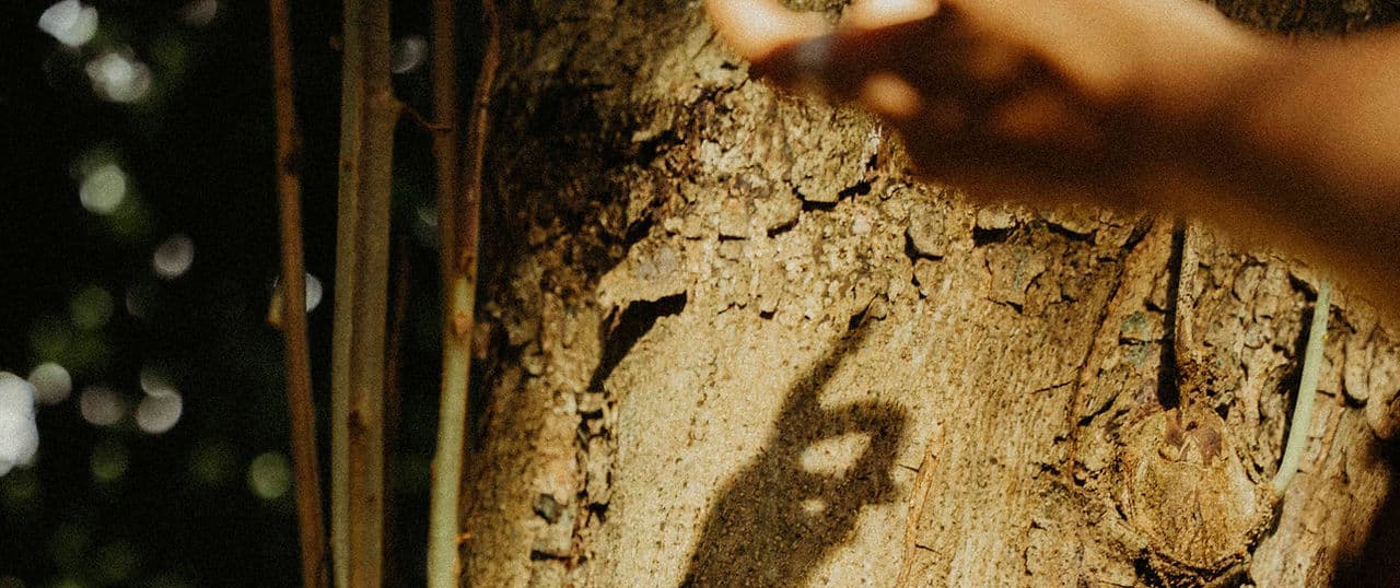 300HR Advanced Yoga Teacher Training Sri Lanka