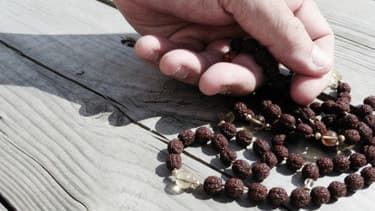 KRI Level 2 Teacher Training - Lifecycles and Lifestyle