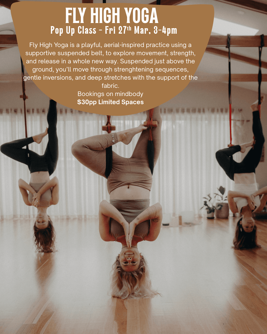 Fly High Yoga - Pop Up