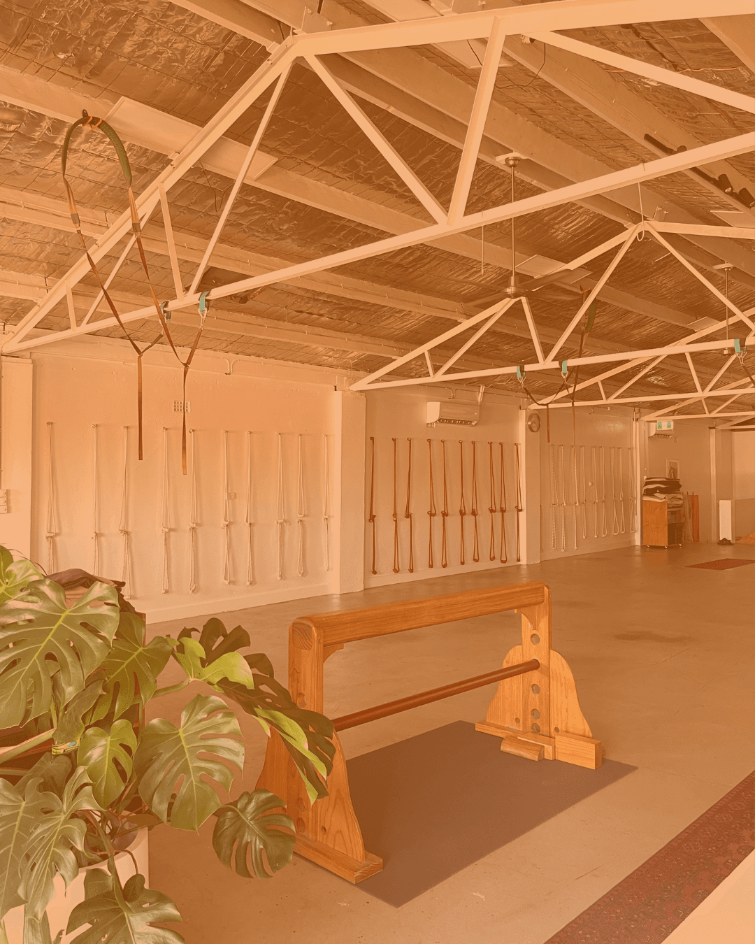 Yoga Therapy Personal Classes