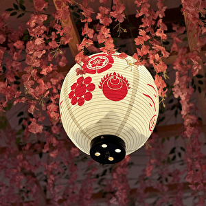 2026 Japan Yoga Retreat