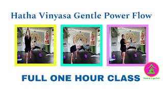 New Hatha Vinyasa Full Class on Our Youtube Channel