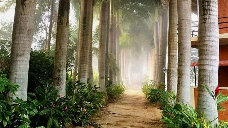 Yoga Dhaama Retreats