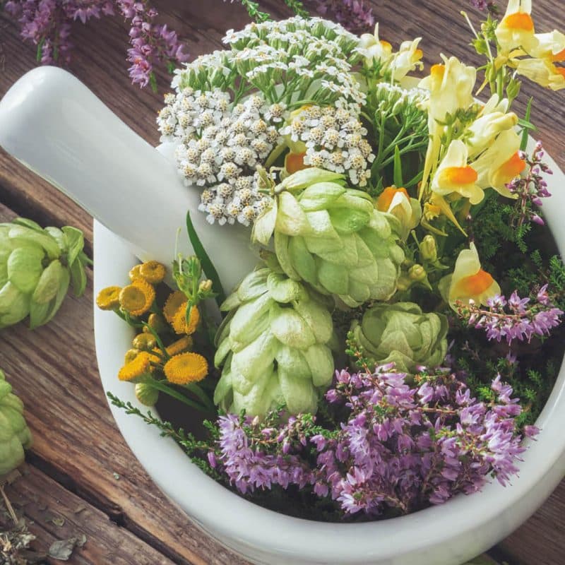 Sanctuary Wellness & Medical Centre logo