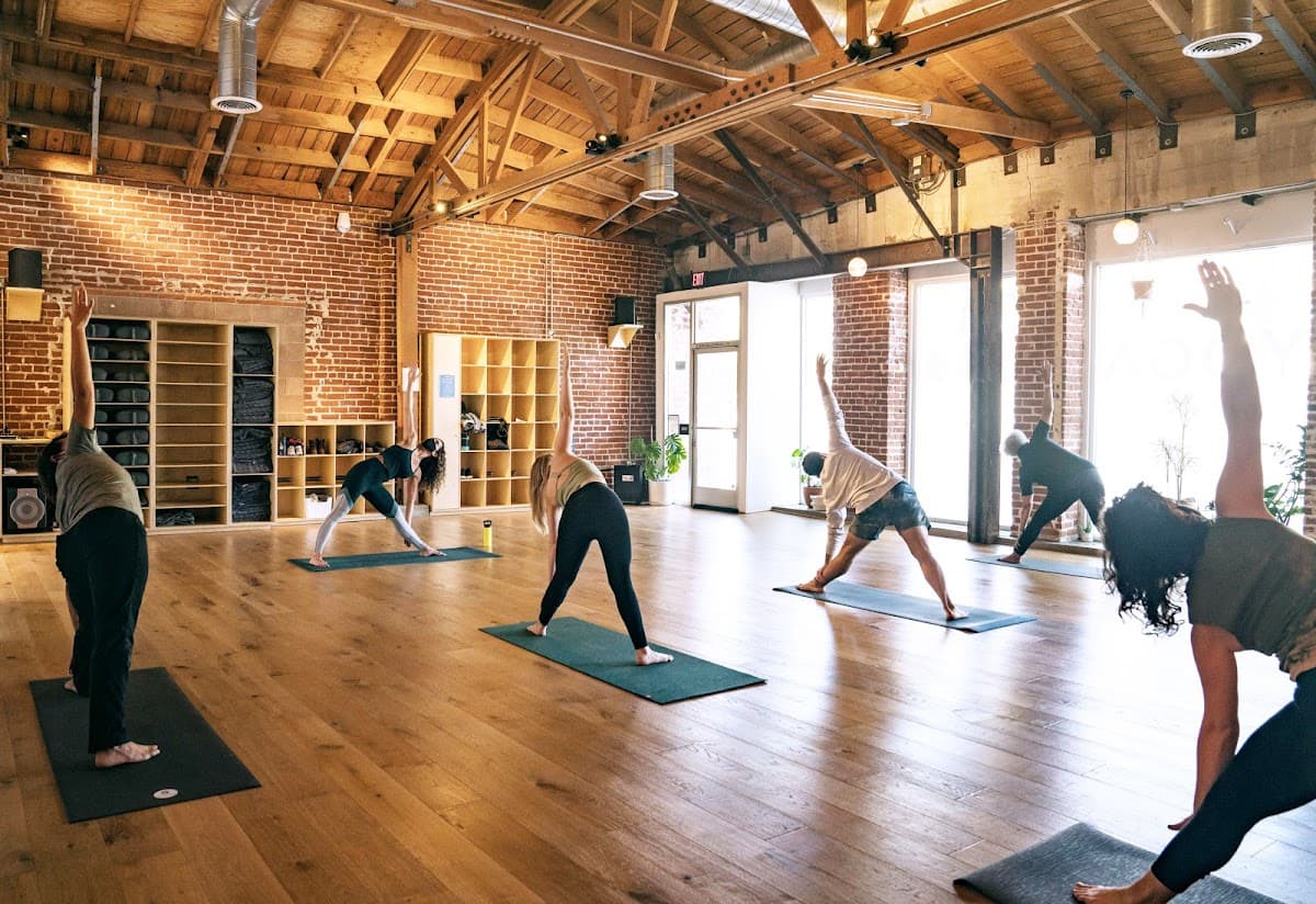 One Down Dog | Yoga + Fitness Studio