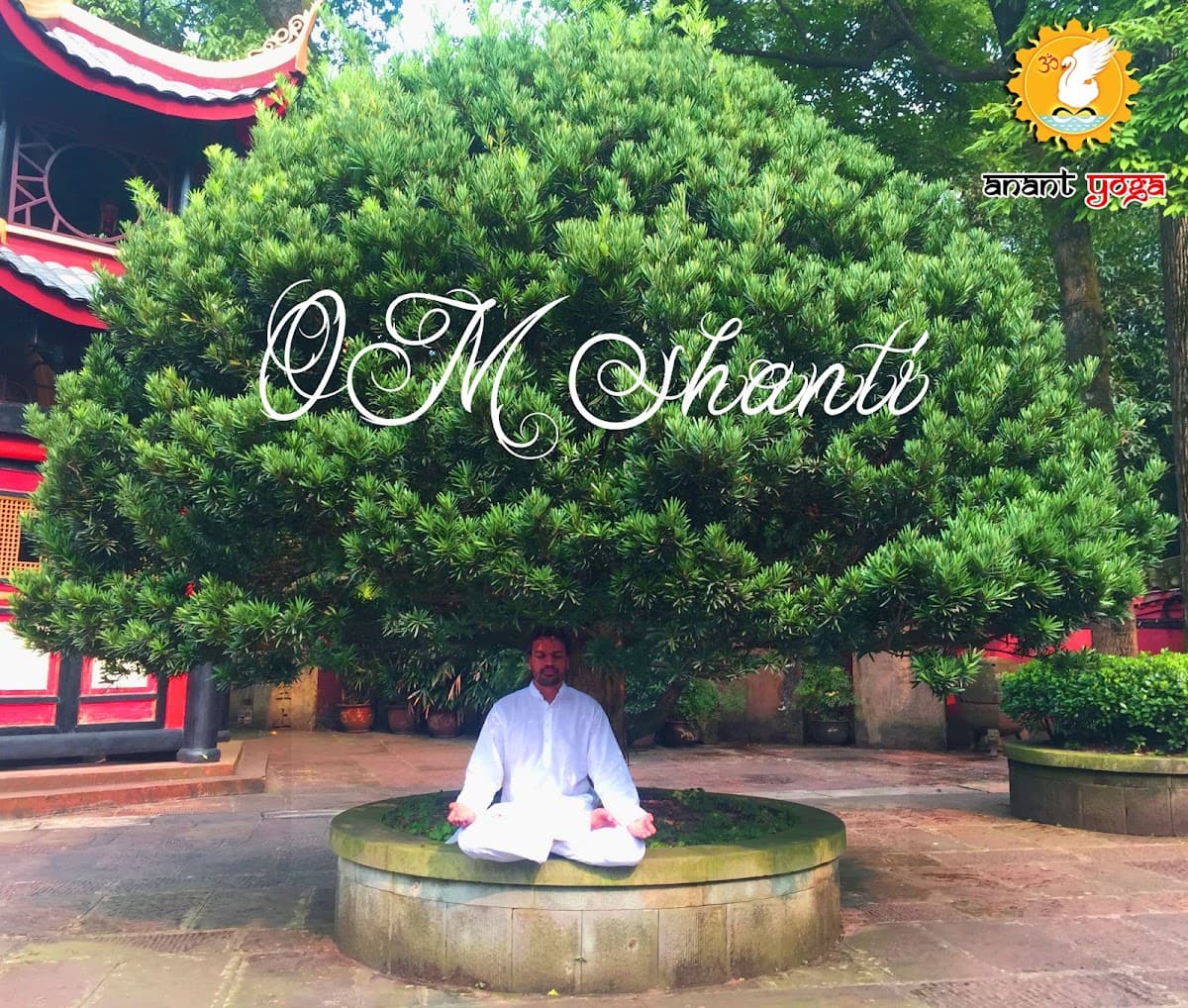 Anant Yoga - Breath work master, Yoga Teacher Training in Rishikesh, India logo