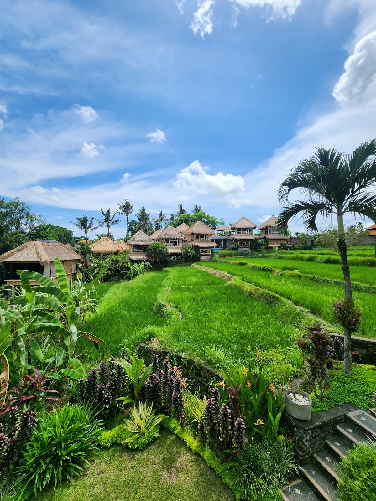 Shades of Yoga - Yoga Teacher Training Bali