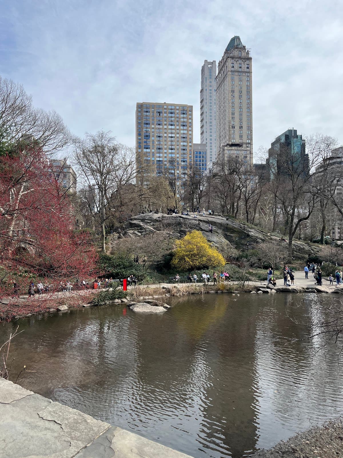 Briarwood Wellness Center