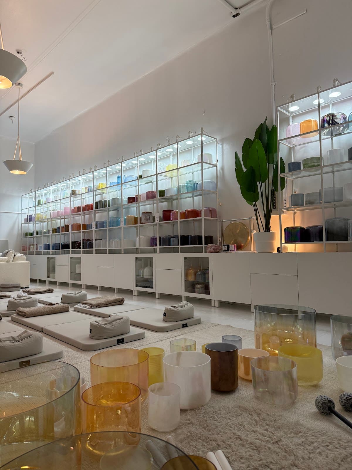 Buffalo Firefly Wellness 1