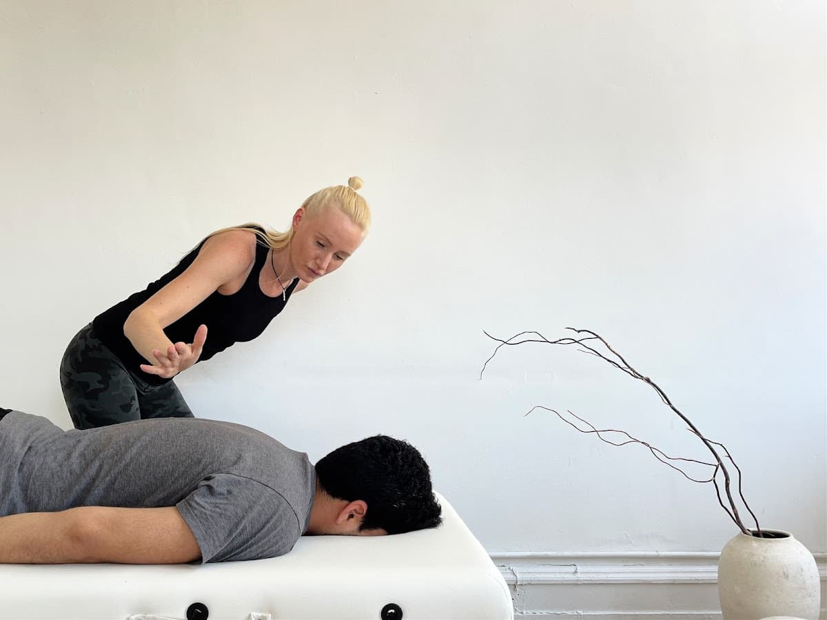 Seena Energetics - Spinal Energetics & Somatic Energy Healing 1