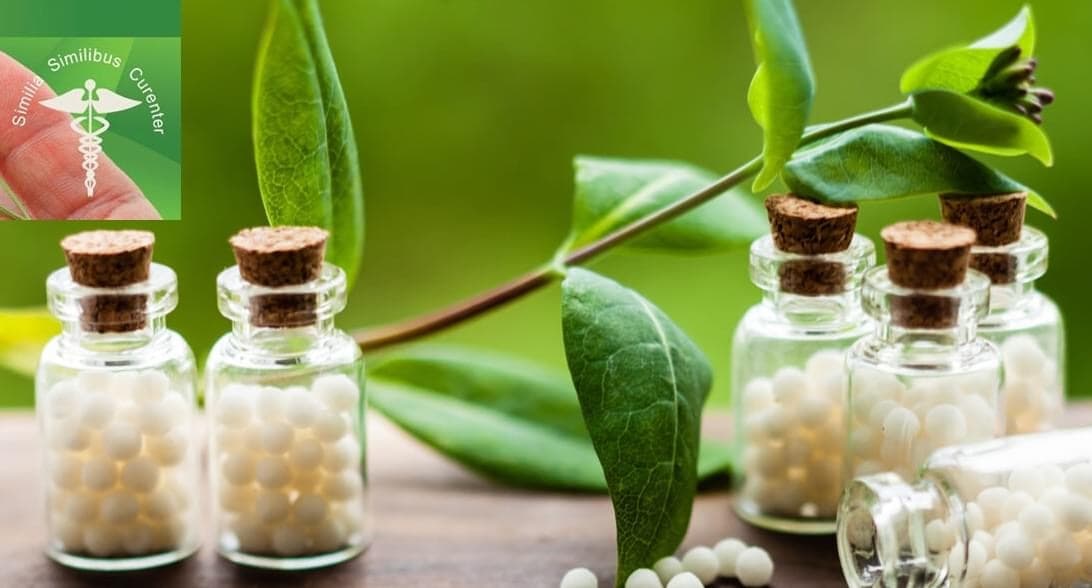 Akshar Holistic Homeo Care - Homeopathy - Homeopathic Medicine Clinic - Homeopath - Natural Medicines logo