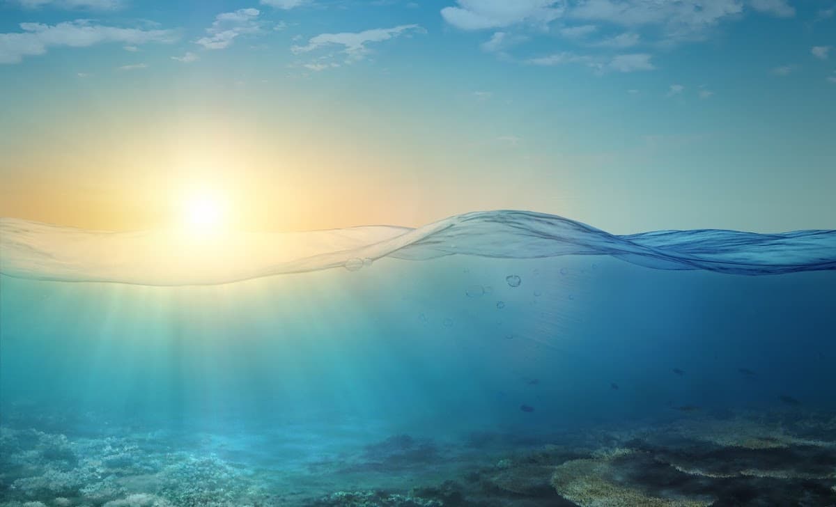 Centre for Mind Body Wellness