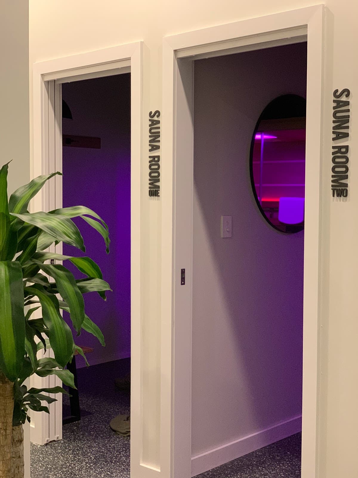 Aura Wellness & Recovery logo