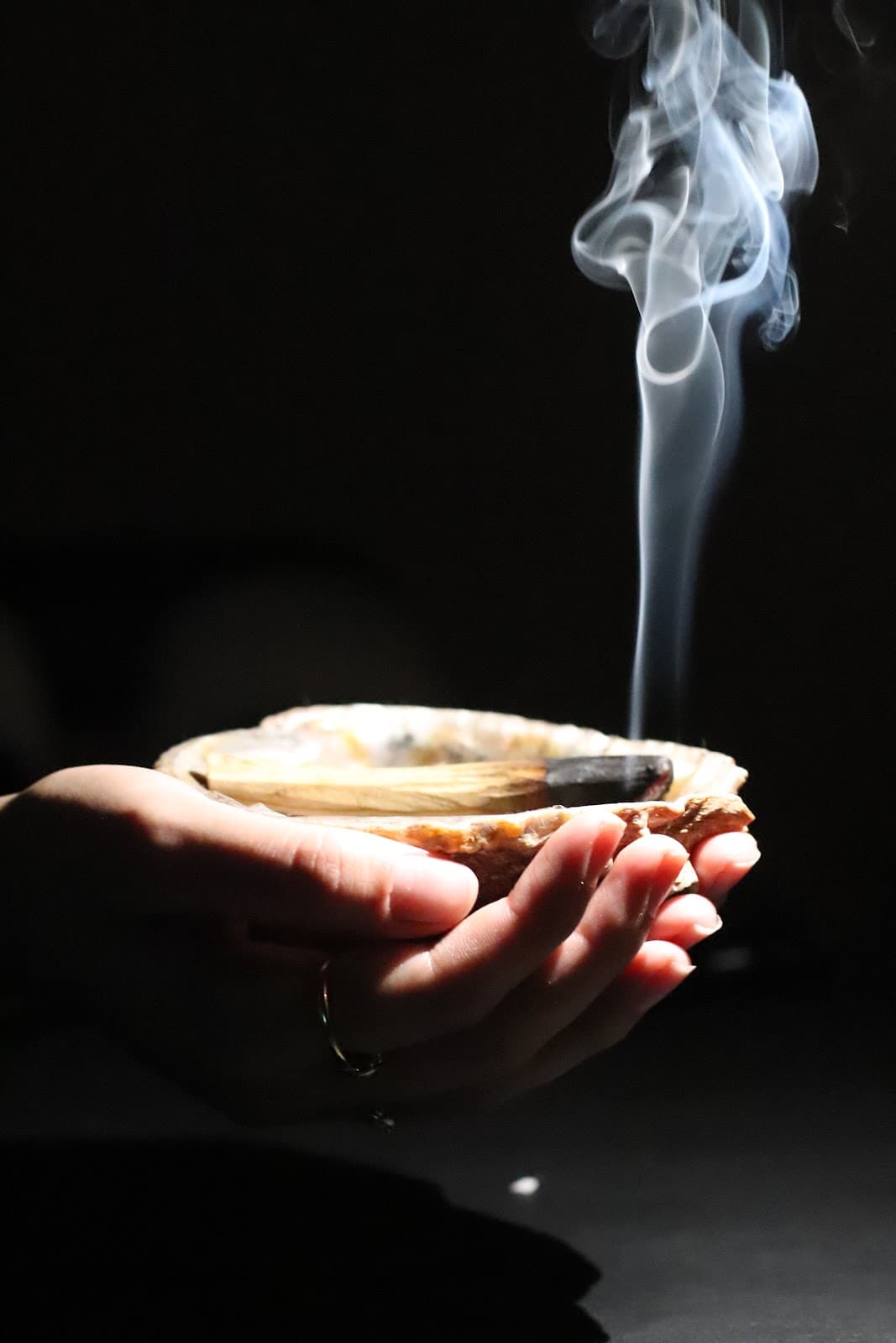 Space For Wellness logo