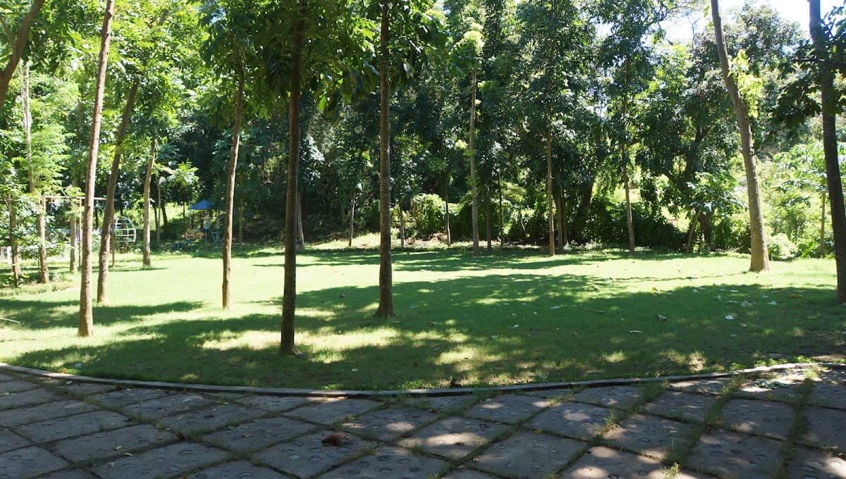 Ashram Ananda Kuranja