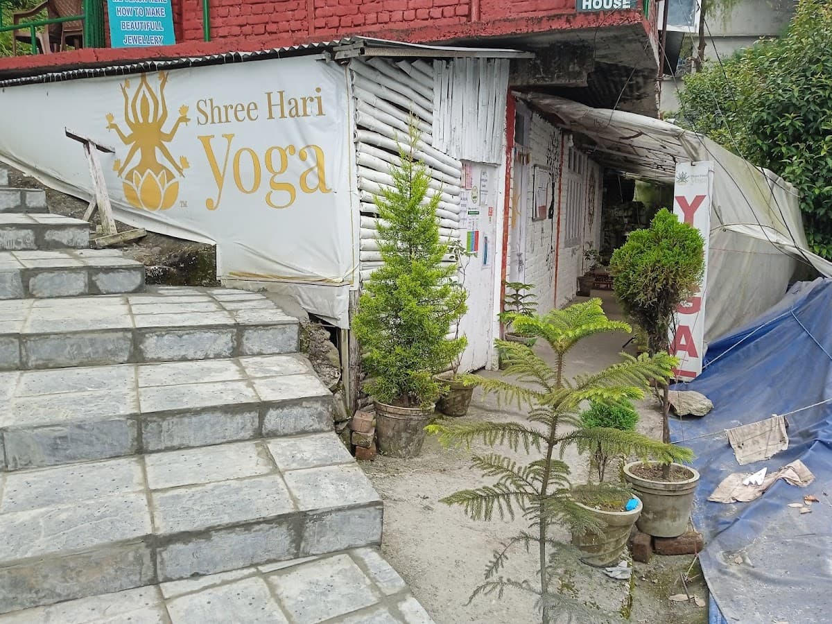 Shree Hari Yoga School Dharamshala logo