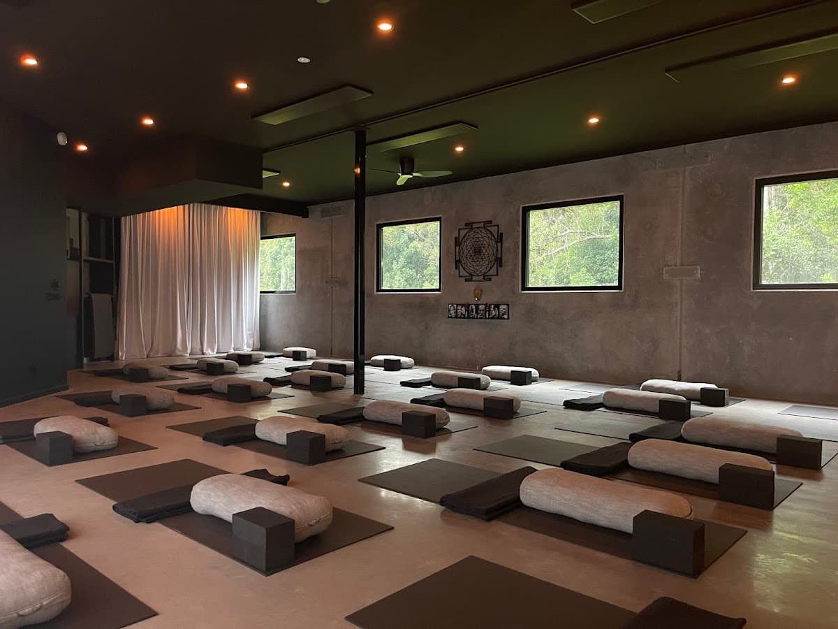 HOV Yoga - Heart of Vinyāsa 1