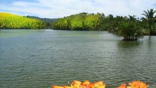 Tejasurya Meditasi & Yoga
