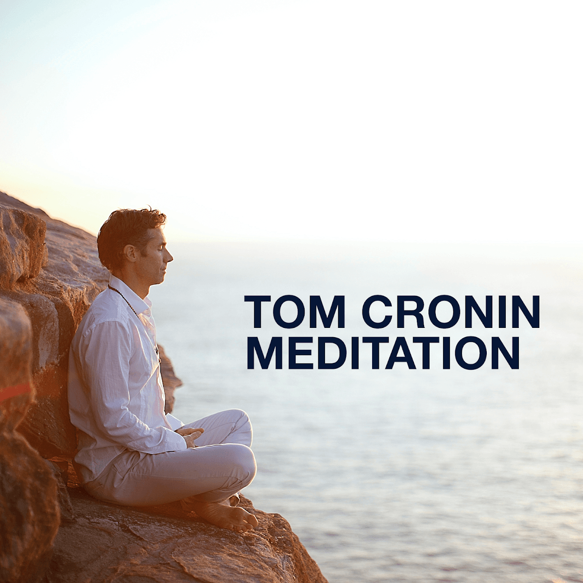 Tom Cronin Vedic Meditation
