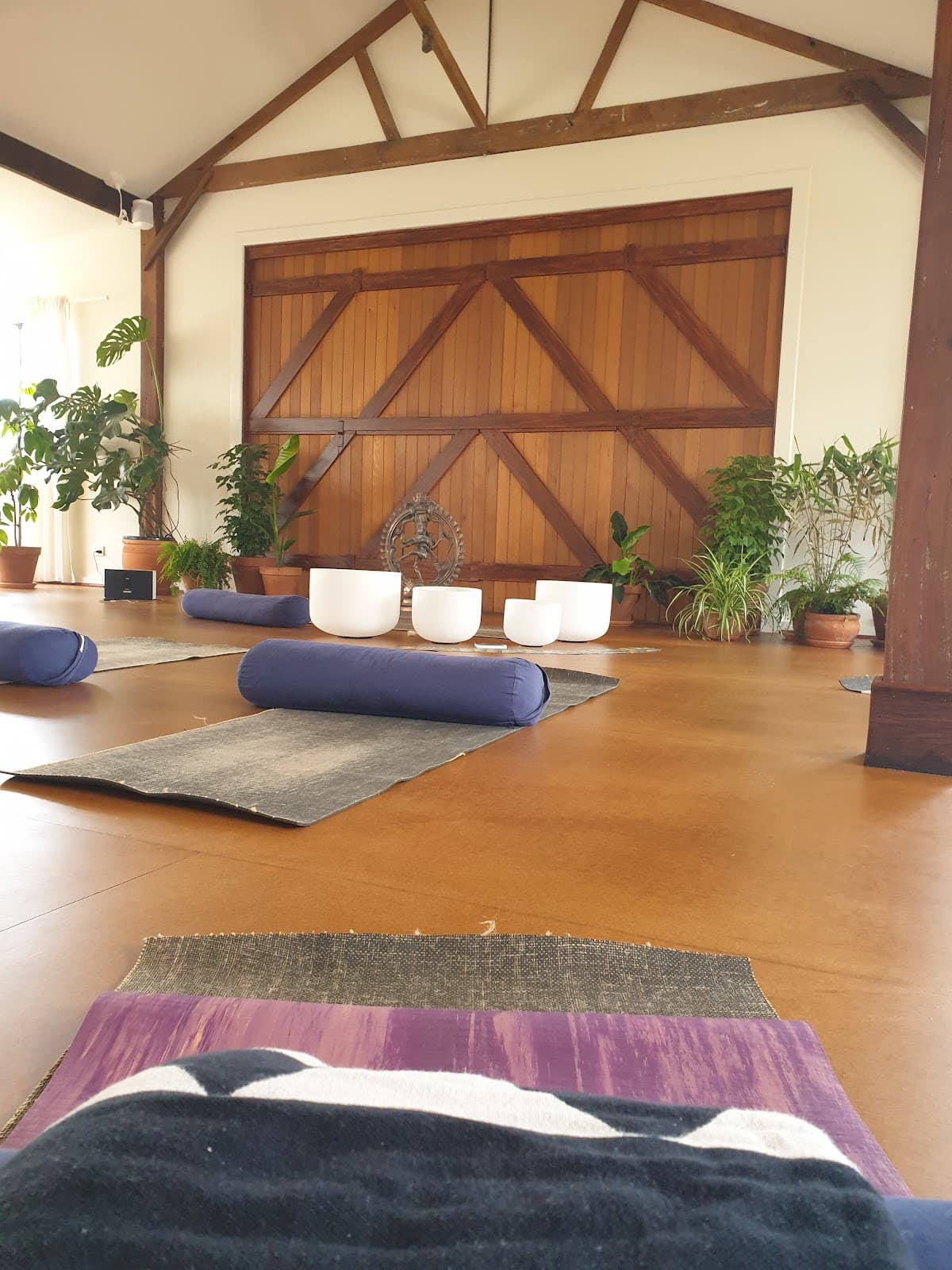 Swell Yoga Studio