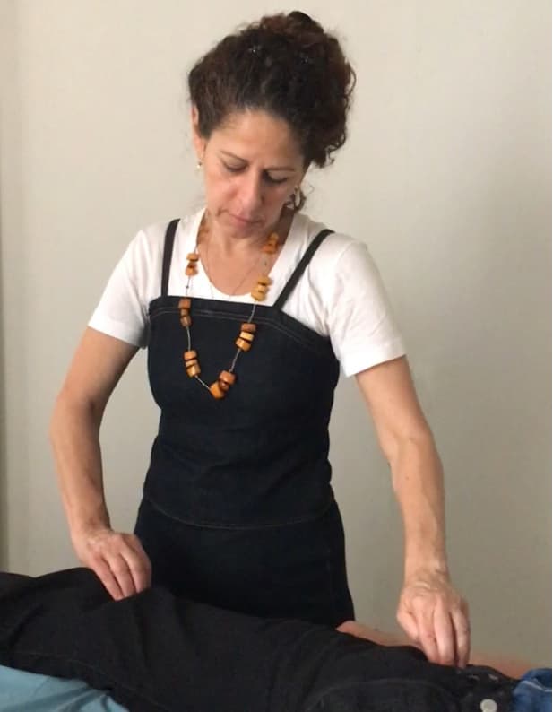 Somatic Detective Biodynamic Craniosacral Therapy, Polarity Therapy & Somatic Experiencing logo