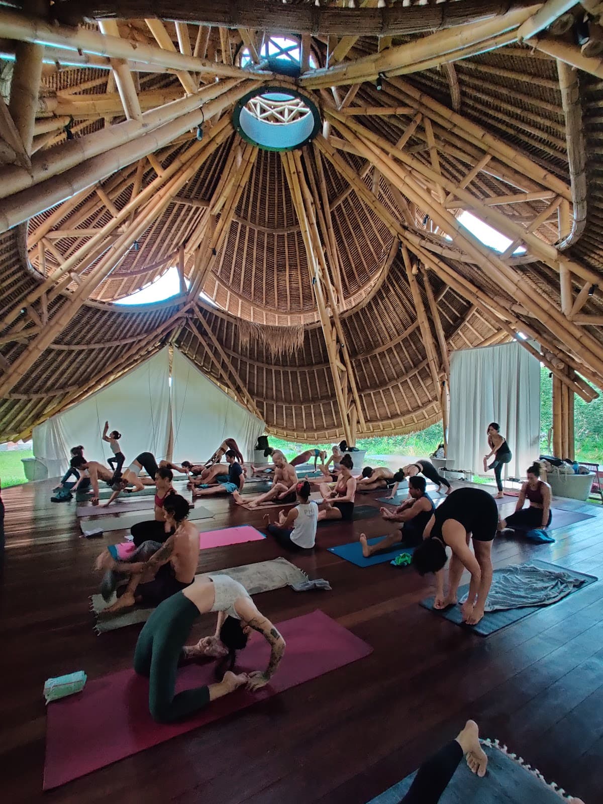 Spacious Yoga - Mysore Style Ashtanga 1