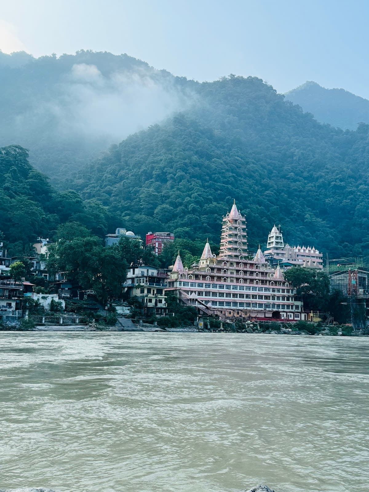 The Yoga Family India 🇮🇳 1