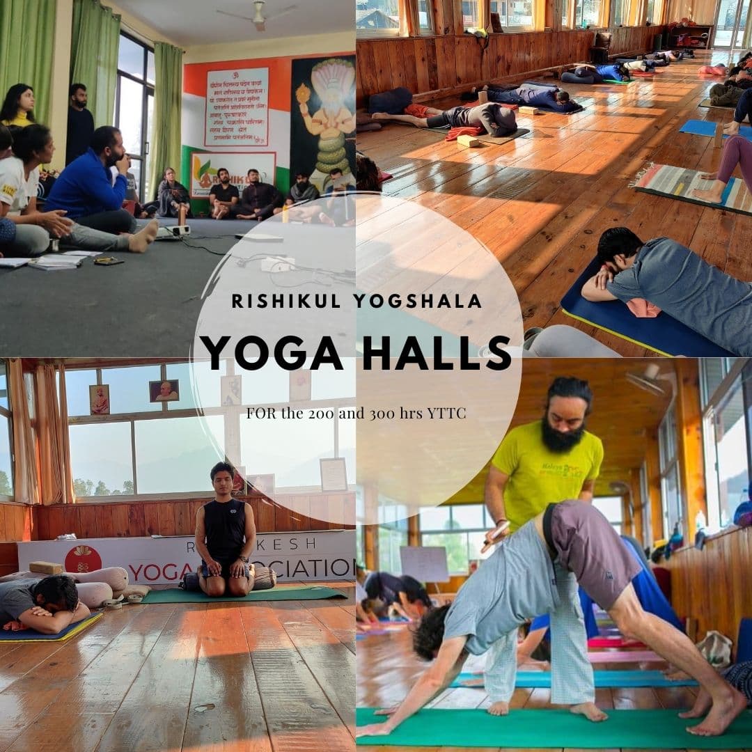 Rishikul Yogshala Rishikesh - Yoga Teacher Training in Rishikesh India logo