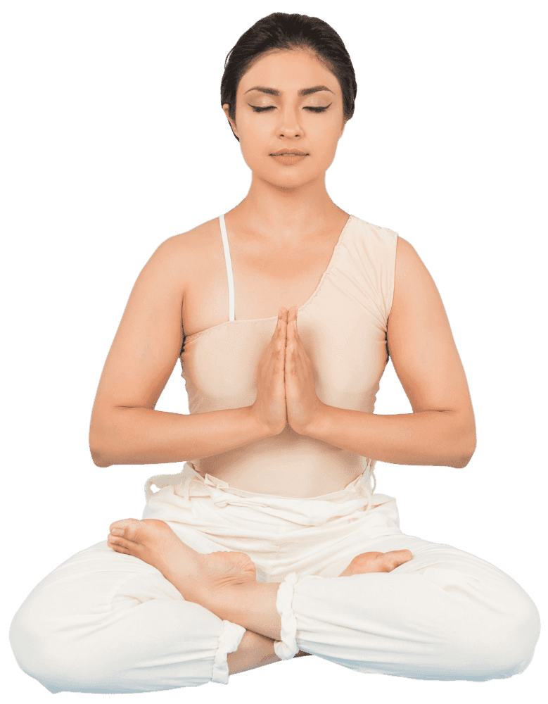 VASHISHT WELLNESS logo