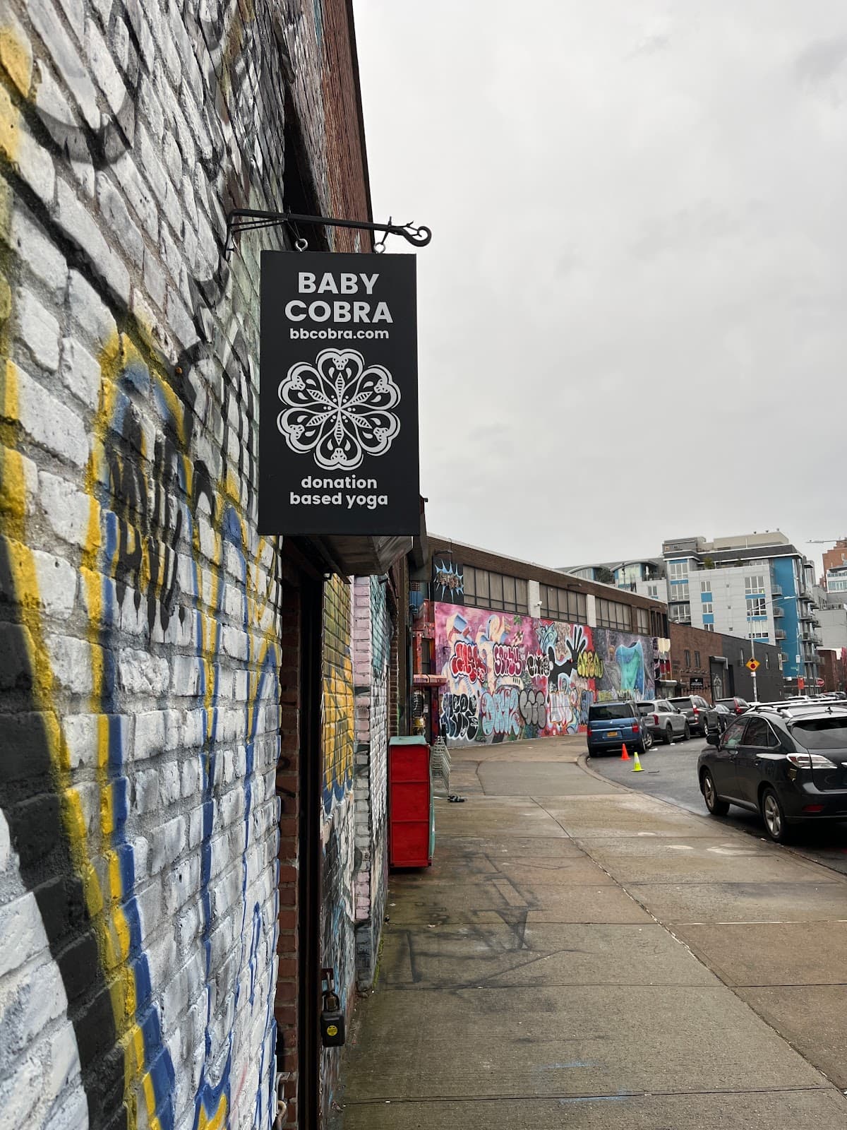 Baby Cobra Yoga logo