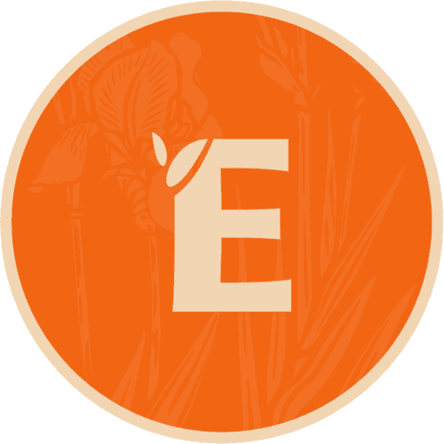 HealthE Wellness logo