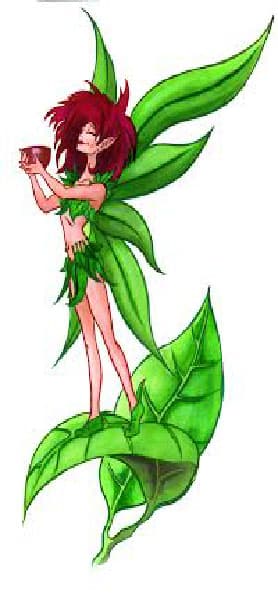 MorningStar Herbals and Holistic Healing