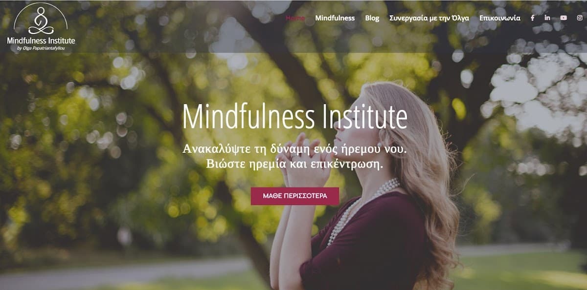 Mindfulness Institute